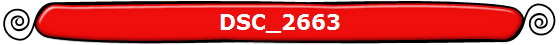DSC_2663