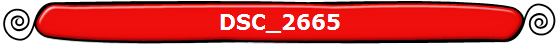 DSC_2665