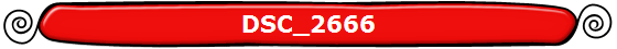 DSC_2666