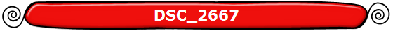 DSC_2667