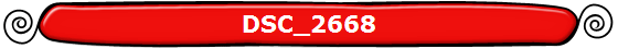 DSC_2668