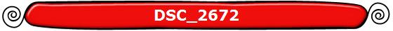 DSC_2672
