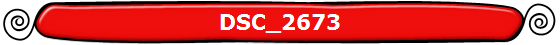 DSC_2673