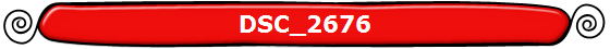 DSC_2676