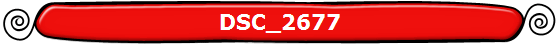 DSC_2677