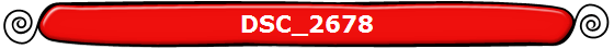 DSC_2678